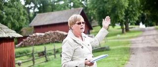 Historien om Högsjö järnbruk känner få till