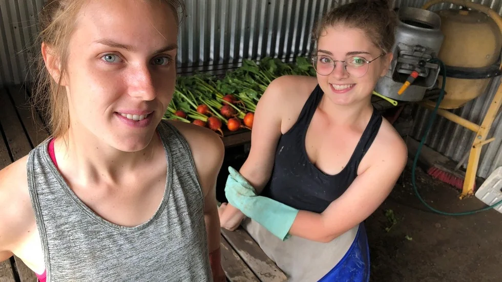 Emily Campbell King, England och Beatrice de Monte, Italien har mötts på gården där de jobbar som volontärer, så kallade Woofare.