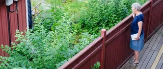 Många missnöjda med Fyrentomten