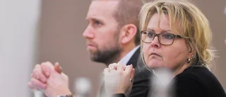 Politikerna samlas kring krokodilgapet