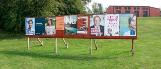 Valaffischer nedrivna i Flen