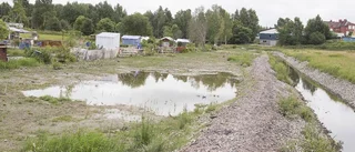 Simulerade regn avslöjar var staden svämmar över