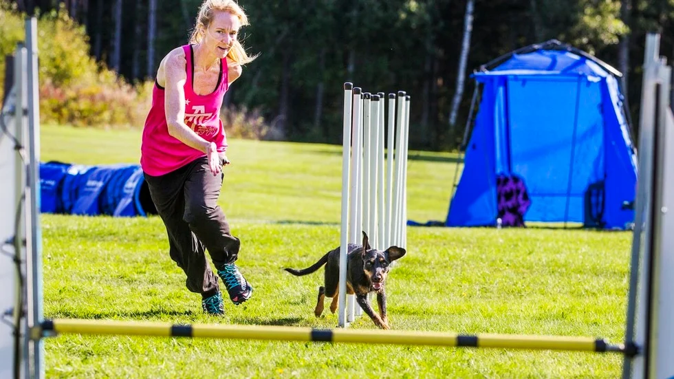 Full fart och felfritt när Ulrika Frödén tävlade med hunden Stoja.