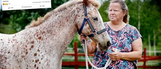 Hästen Valerie skuren – ägaren varnar på Facebook