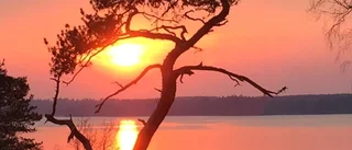 De vann biobiljetter för vårens bästa bilder