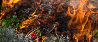 Kontrollerad naturvårdsbränning inställd