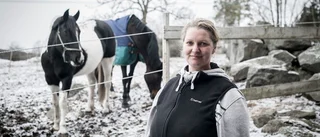 Trosa ridsällskap har återigen häst med kvarka