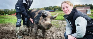 Nu startar "Bondens nära" – ersätter "Bondens marknad"