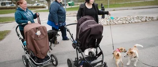 Närboende vittnar om nattens dramatik