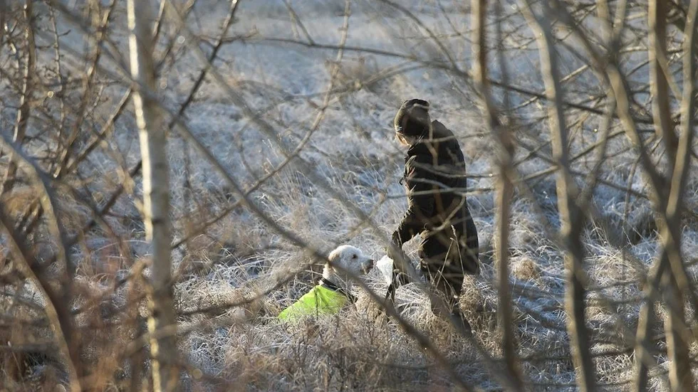 bortsprungen hund _057.jpg