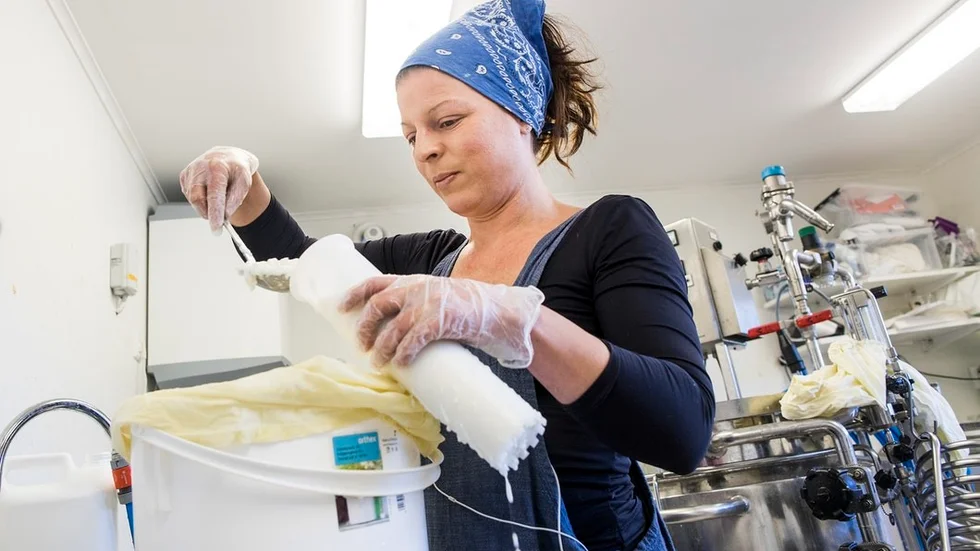 Carmen Wikström fyller röret med ostmassa, ett blött och pyssligt arbete. Det ska bli en kittost av fransk typ när den är klar.