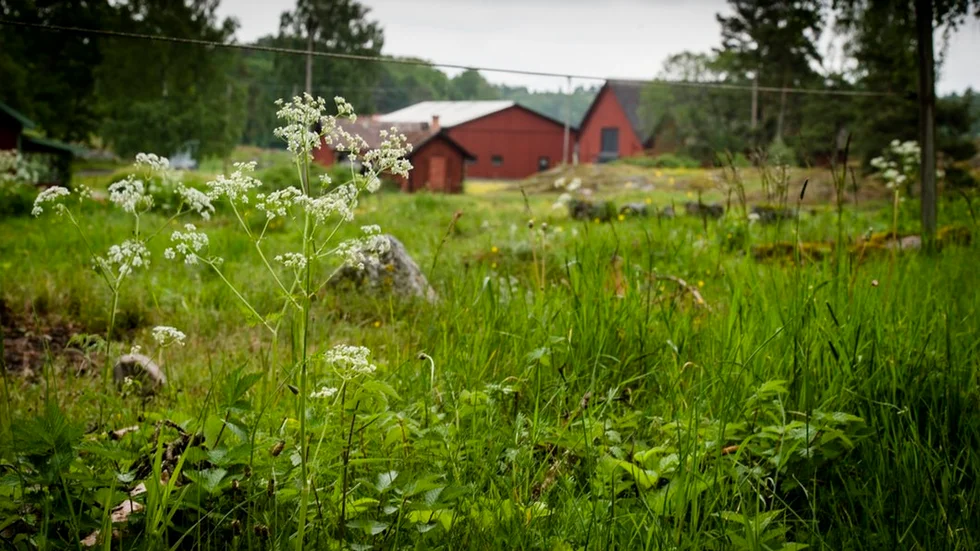 Om kommunstyrelsen säger ja till Flättna som plats för ett nytt ridcentrum, är tanken att det ska byggas upp cirka 200-300 meter från Stora Flättna gård.