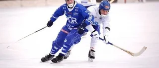 Borgia stortrivs i regn och rusk