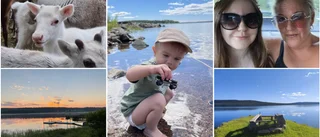 Se läsarnas sommarbilder och skicka in bilder du med!