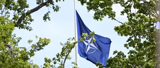 Kinesiska medier: Sverige luras in i Nato