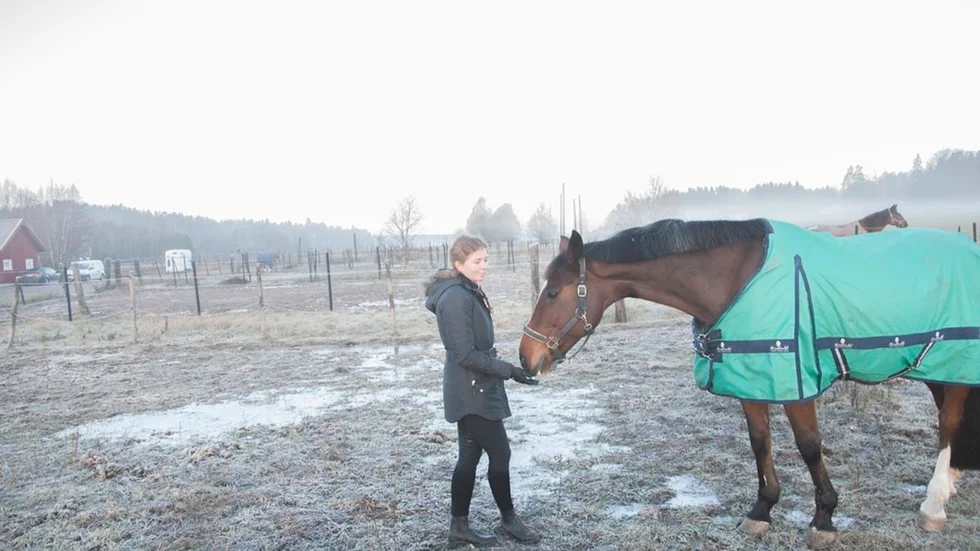 Stallet ger Wilma lugn och ro, tid att bara vara och tänka.