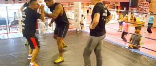 En dag i en proffsboxares liv