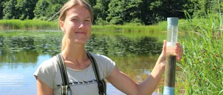 Dy och lera från Västervik berättar hur havet mår • Det stinker förfärligt – marinekolog förklarar varför