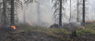 Brand i Ålsunda skog – elva enheter på platsen