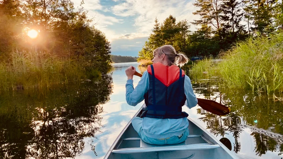 Bakom vassen till höger i bild står en brygga, där en högtalare spred ljuv musik över paddlingsturens avslutning.