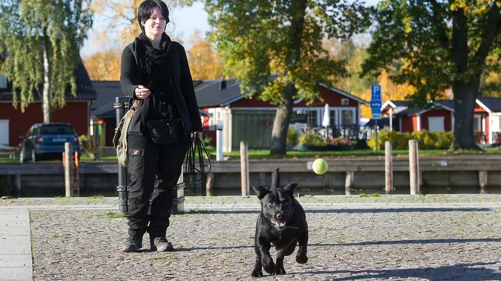 Idas hund Shadow är en jaktlabrador och älskar att apportera. Han gör egentligen vad som helst för att få bollen.