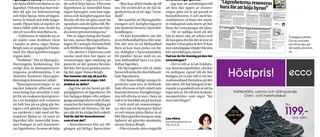 "Varför släpps det in hyresvärdar som bara har intresse av att tjäna pengar?"
