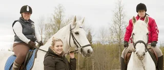 Stallivet gör gott