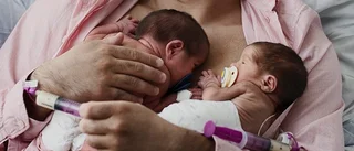 Swedish Dads visas på Culturum