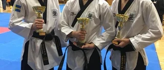 Guld och brons för Trosa i Nordiska mästerskapen