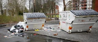 Tillfällig sopsituation irriterar hyresgäster – och gynnar råttor