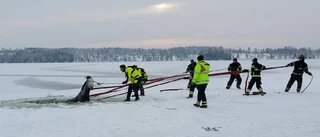 Räddad från en säker död