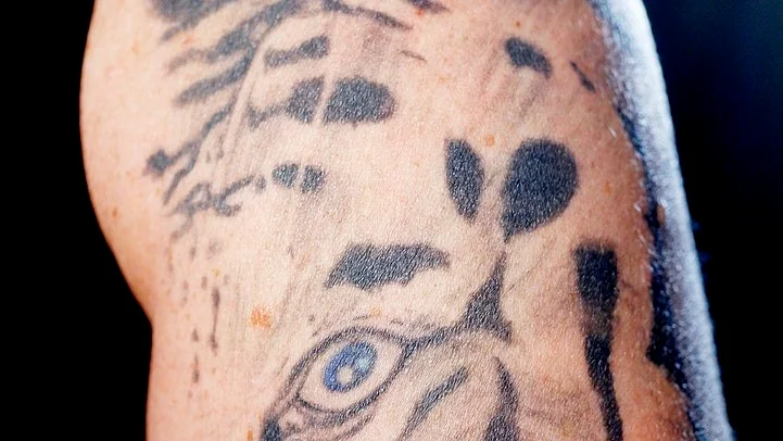 En vit tiger pryder omslaget på albumet "Vapen och ammunition" som släpptes 2002.