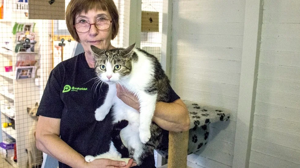 Ann-Marie Karlsson, katthemsansvarig, tillsammans med katten Saga.
