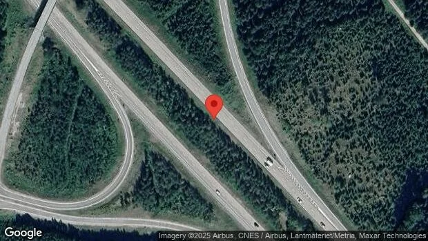 Vildsvin på fel sida viltstängslet på E4