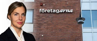 ”Röj upp i den snåriga företagarpolitiken”