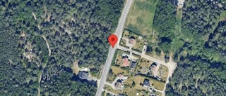 Häst på vägen kan skapa fara på väg 53