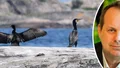 Upplandsstiftelsens motstånd hotar fiskbestånden
