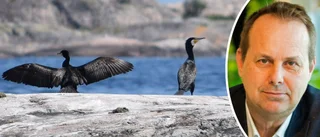Upplandsstiftelsens motstånd hotar fiskbestånden