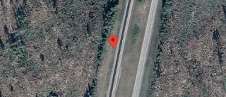 En stillastående personbil orsakar stopp i ett körfält på E4