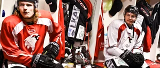 Succélagets nya mål: Playoff