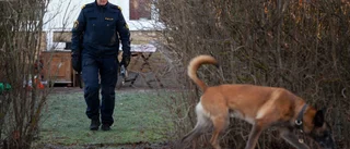 Efter nattens skottlossning – kontrasternas morgon i Ryd