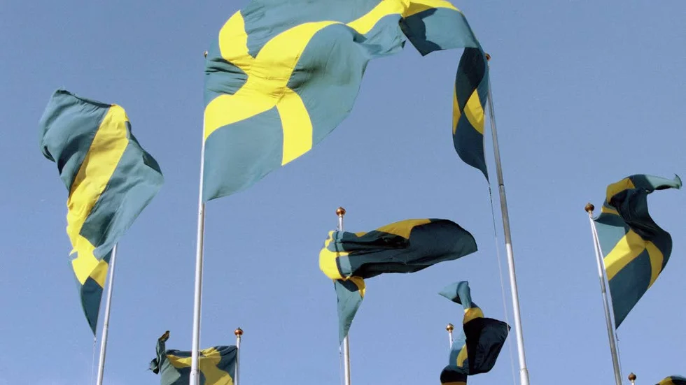FLAGGA. Veterandagen blir allmän flaggdag.