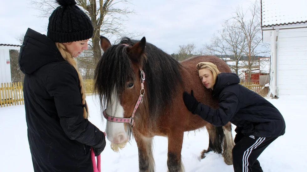 Eleven Mio Bjernman påpekar att man måste vara lugn med hästarna och att djuren blivit som kompisar. Här tillsammans med hästen Milly och Fia Davidsson instruerar.