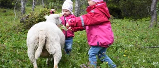 Här får djuren ett varmt välkomnande till parken