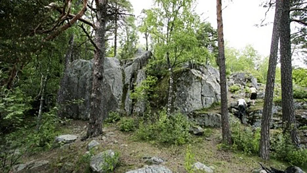 Nåstens naturområde.