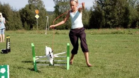 Elin Bucht