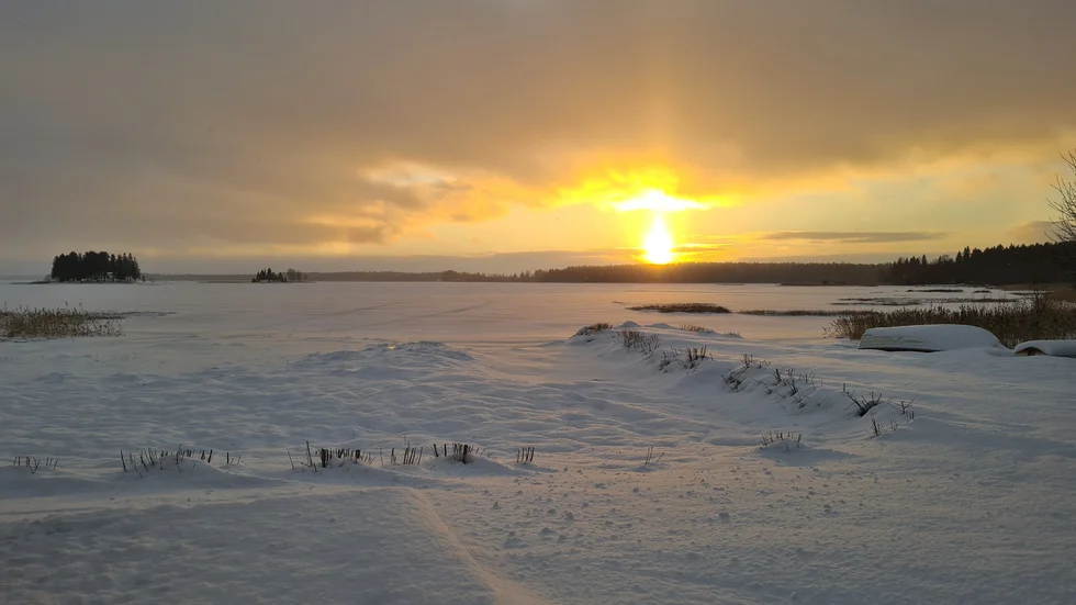 Dagens läsarbild.