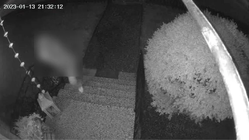 Personen som på fredagskvällen bankar på bostaden skyler ansiktet. Familjen trakasseras i sitt hem sedan i oktober och attackerna skapar oro särskilt hos det yngsta barnet, berättar föräldrarna.