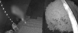 Nya smällar mot villadörr – här fångas vandalen på bild: "Vet att kameran sitter där" ✓Fortsatt tyst från polisen