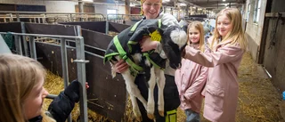 Stor brist på veterinärer – jourbemanningen urholkas ✓Kobonden Maria: "Det tar emot lite att ringa"